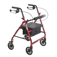 Aspire Mini Seat Walker